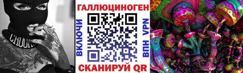 Галлюциногенные грибы Psilocybine cubensis  Нижнеудинск 